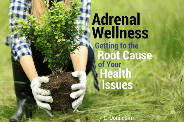 adrenal wellness, adrenal fatigue, adrenals and anxiety, adrenal stress, cortisol