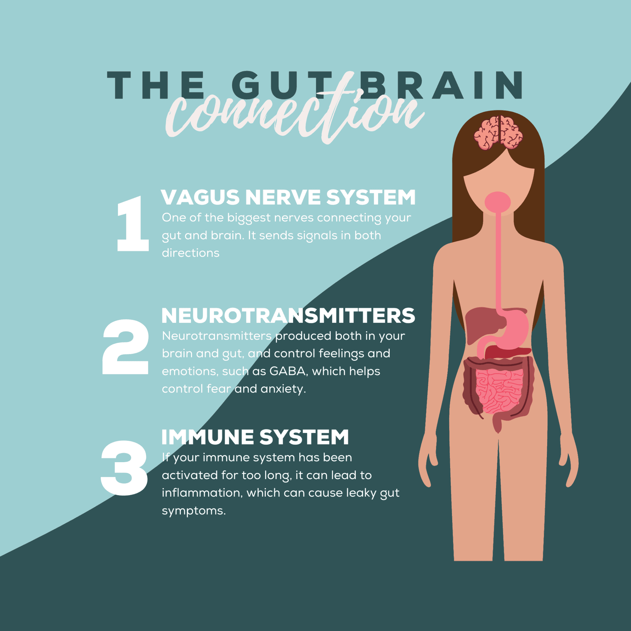 Brain Intuition The Second Brain: How Stress Affects the Gut-Brain Axis - Doctor Doni