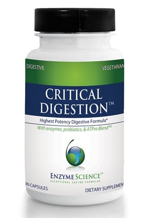 Critical Digestion, 90 capsules