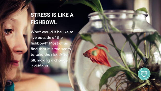 We get so accustomed to stress exposure that it becomes just a part of everyday life. We don't even notice it anymore, like a fish and its fishbowl.