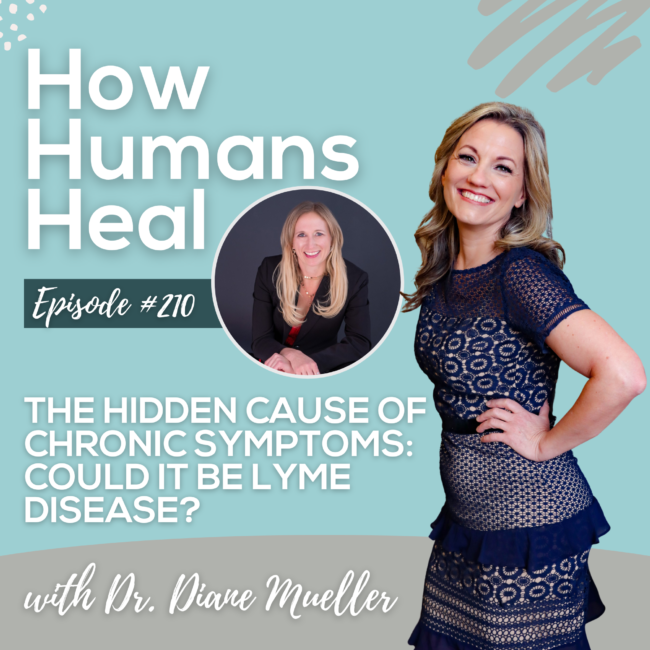 When someone has active Lyme, we don’t start by going after Lyme. We first need to ensure optimal thyroid and adrenal function, optimal nutrient levels, and support for the lymphatic system.