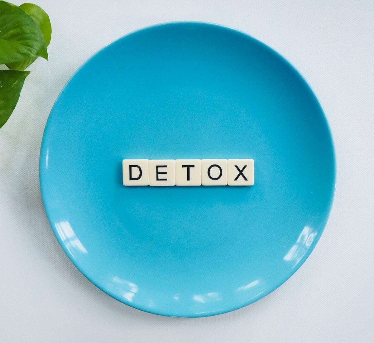 pexels-vegan-liftz-2377166 (1)